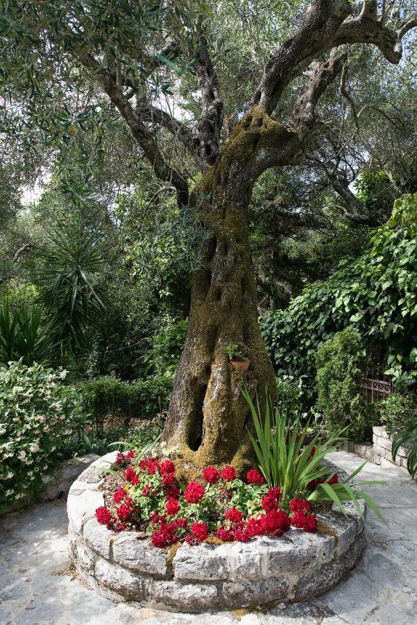 קאסיופי Villa Lofos מראה חיצוני תמונה